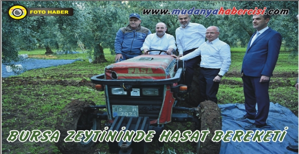 BURSA ZEYTNNDE HASAT BEREKET